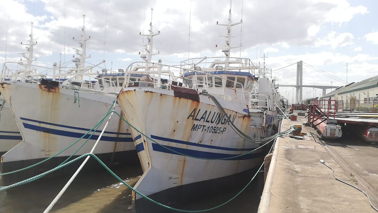 3 Atuneiros | 3 Longliners - ALALUNGA V + ALALUNGA VI + PELAMIS IV