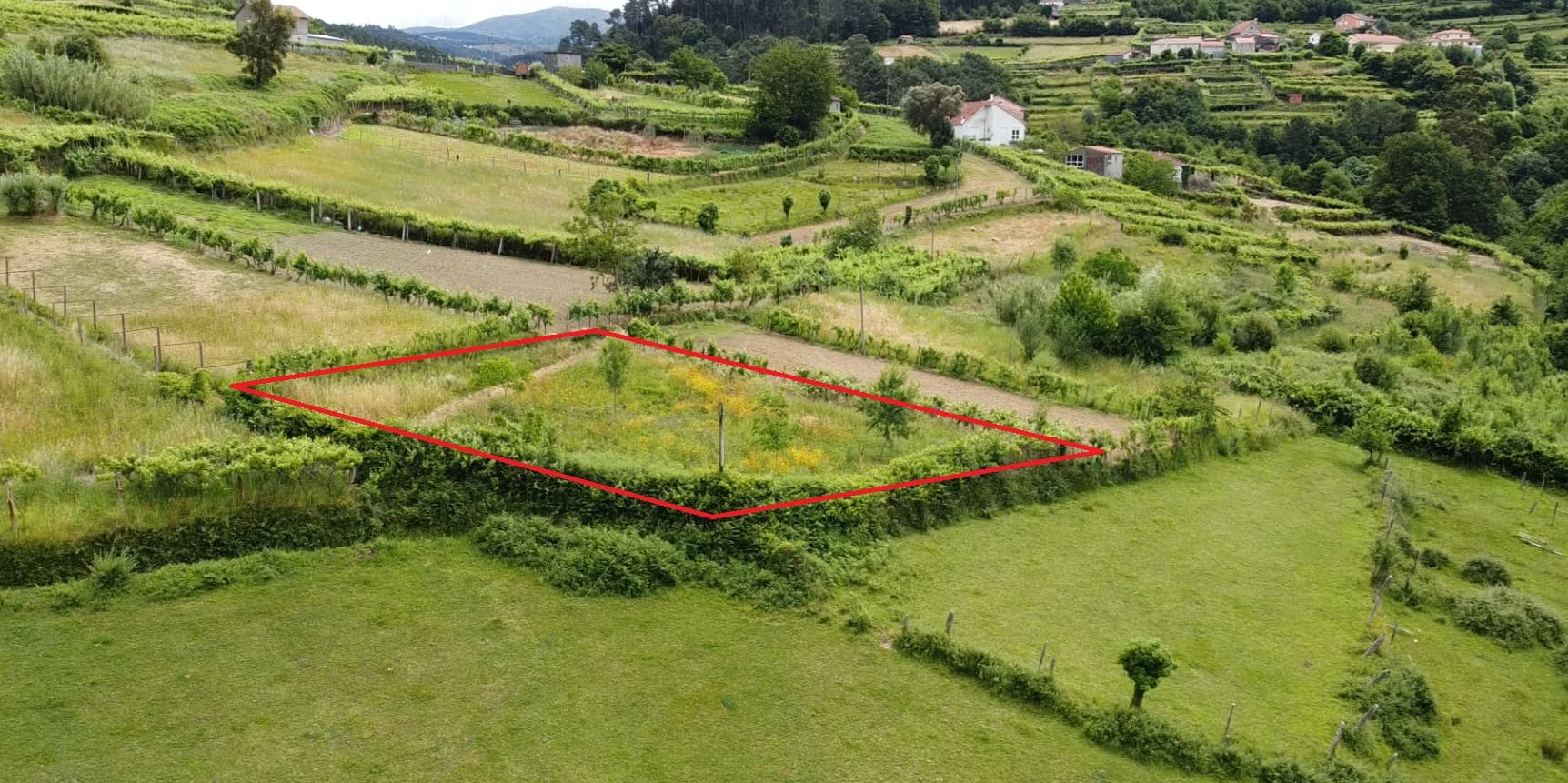 Terreno Rústico com 780m² – Linhares