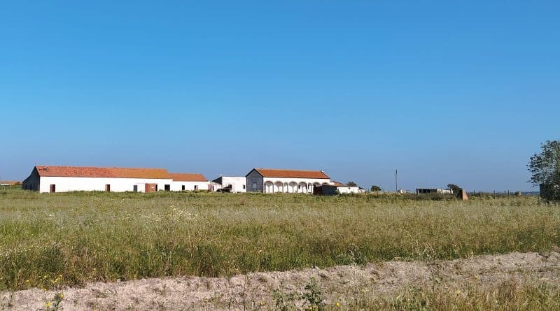 A “unique” investment opportunity for the investor market